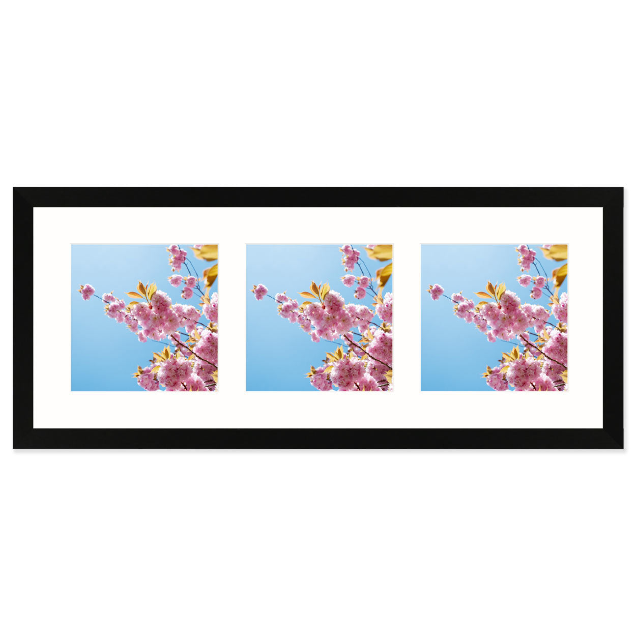 Fotokader Anima - drieluik 15x15 cm - zwart