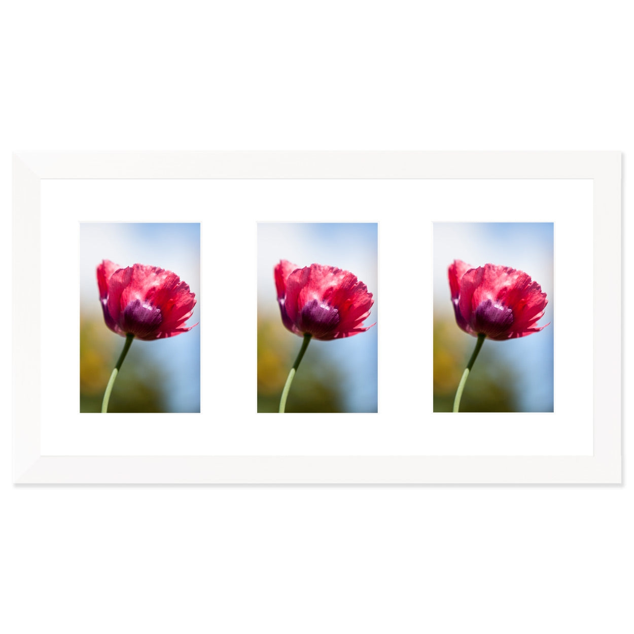 Fotokader Anima - drieluik 10x15 cm - wit