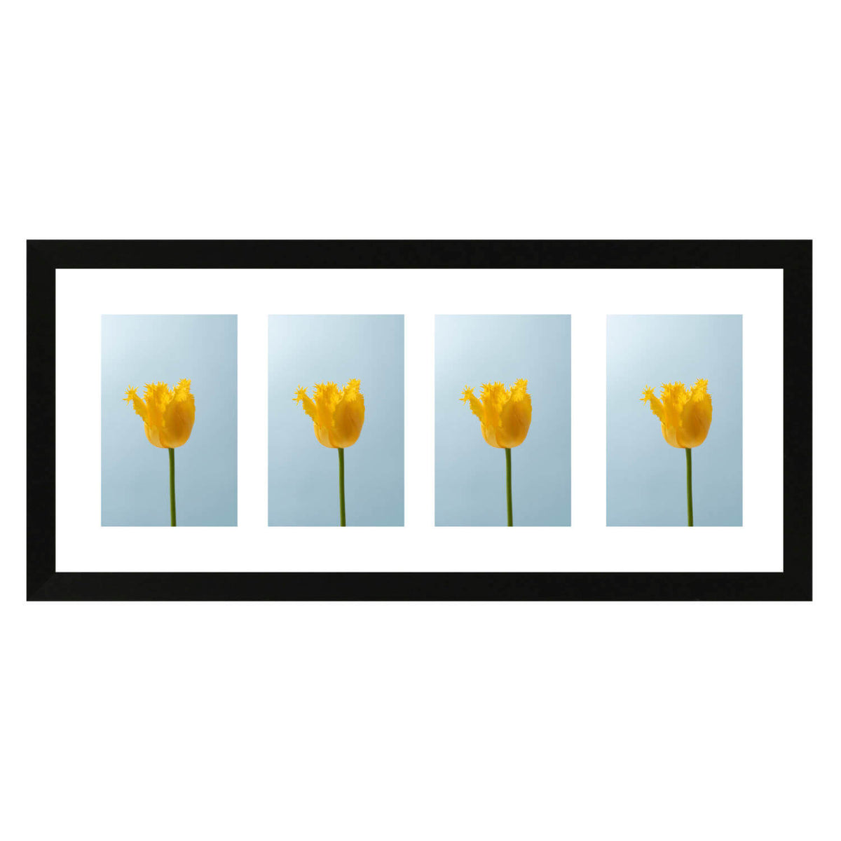 Fotokader Anima - vierluik 10x15 cm - zwart